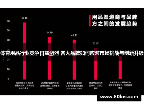 体育用品行业竞争日益激烈 各大品牌如何应对市场挑战与创新升级